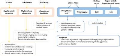 European and American chestnuts: An overview of the main threats and control efforts